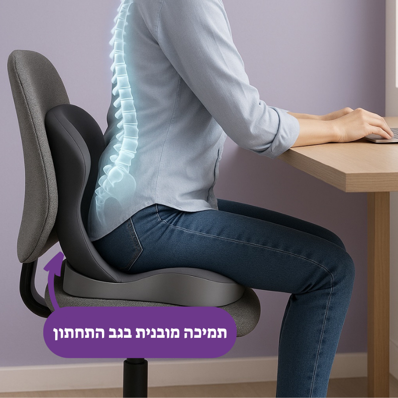 כרית ישיבה אורטופדית